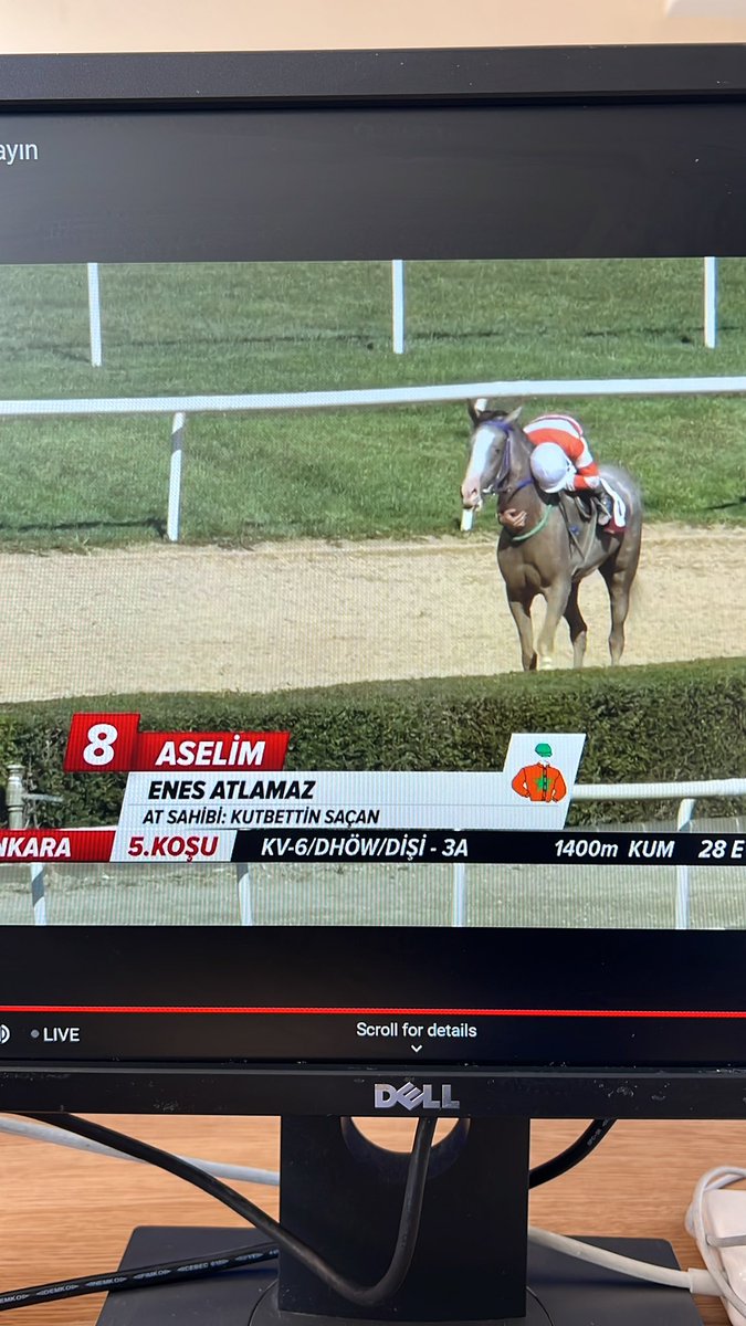 Altılım yattı ama yüzümde bir gülümseme ile, bir çocuk ve atın muhteşem manzarası, bu kadar büyük mutluluk varken bize de tebrikler demek düşer. Aselim, harika bindi ve hakkıyla kazandı, not alalım, Enes Atlamaz.
