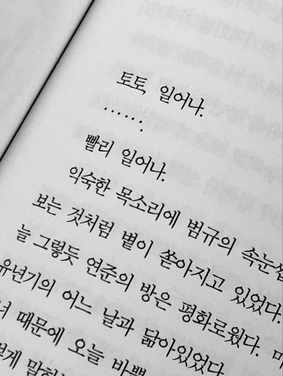lYuBv6's tweet photo. novio ; 애인 https://t.co/ckf1R9FJ6y