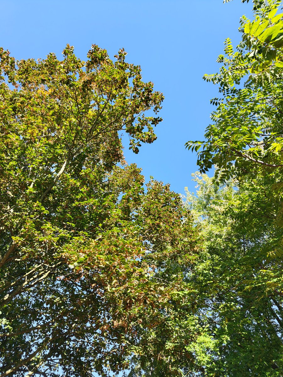 @HelpfulNomes tweet media