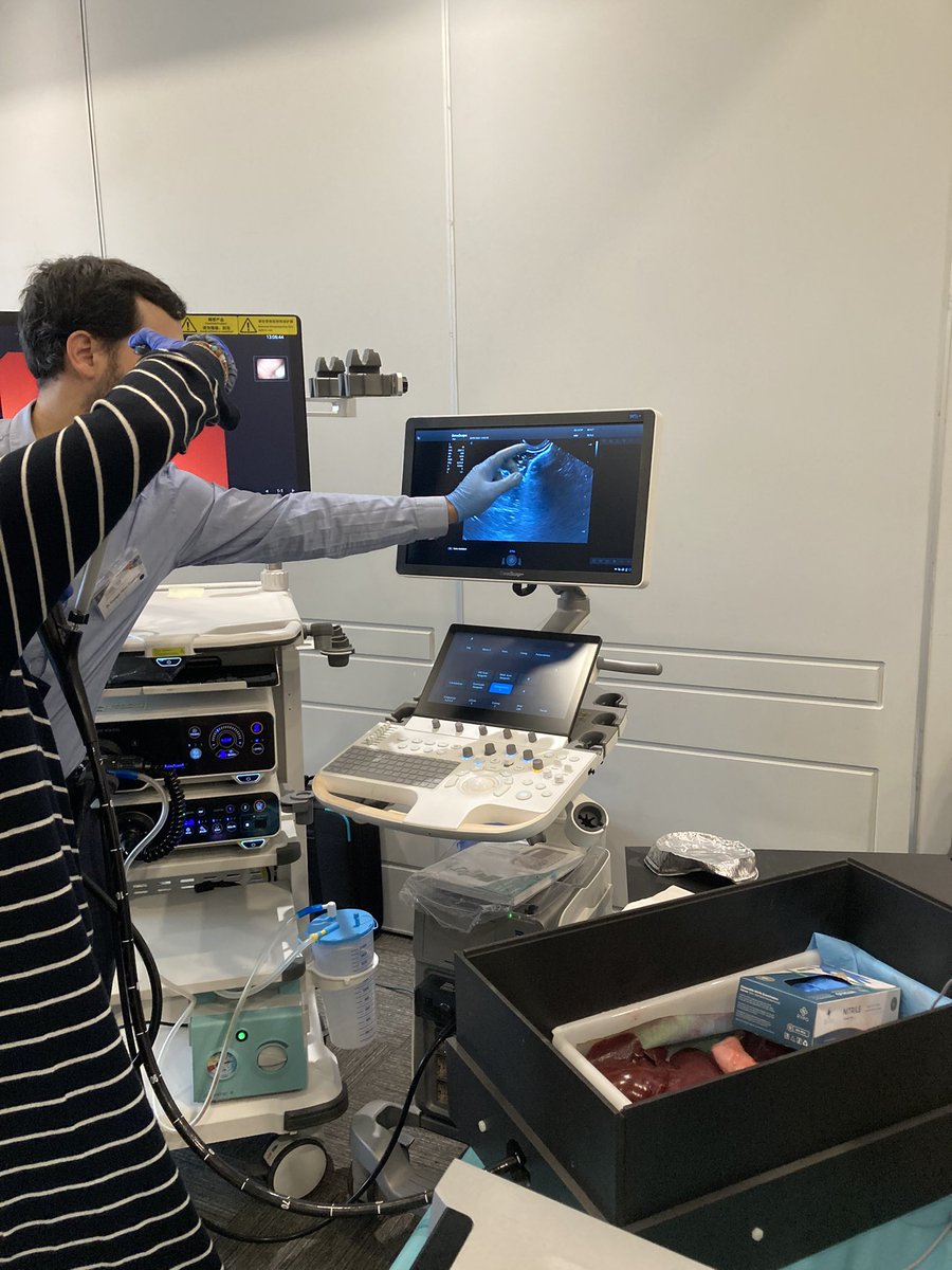 IreneBlancob's tweet image. Momento de drenar colecciones con Axios 😱 #AESPANC #NPC2024