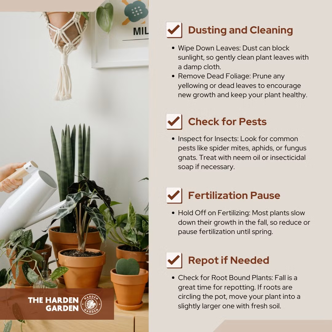 harden_garden's tweet image. 🍂 Weekend Plant Care Checklist (Fall Edition) 🪴
Make the most of fall with healthy plants! 🌱
#PlantCare #FallVibes #WeekendRoutine #PlantTips #Houseplants #GreenThumb