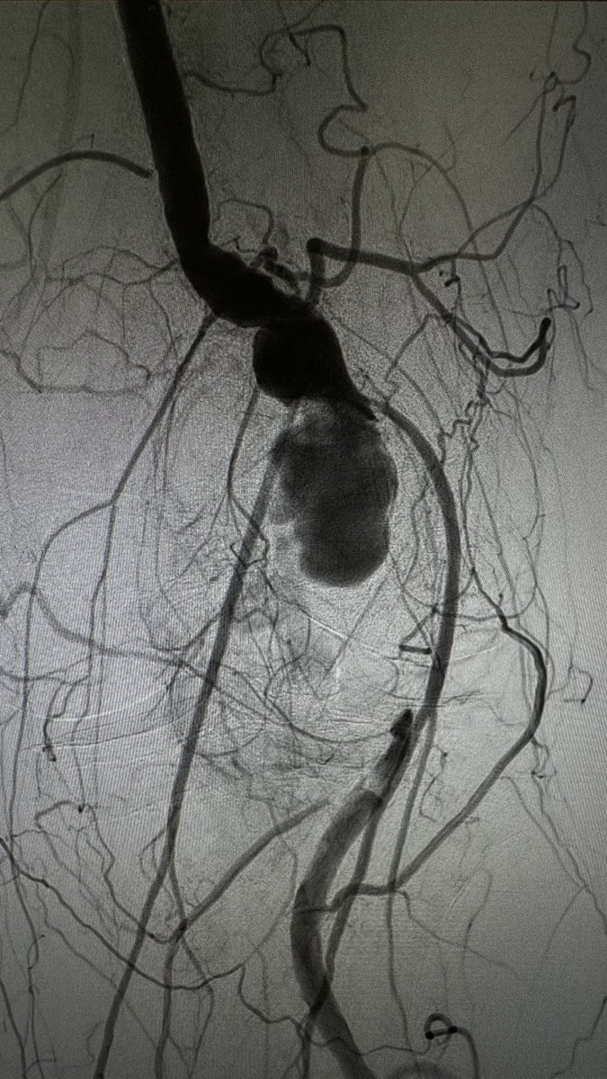 Igor Rafael Sincos, MD, PhD, MBA tweet media