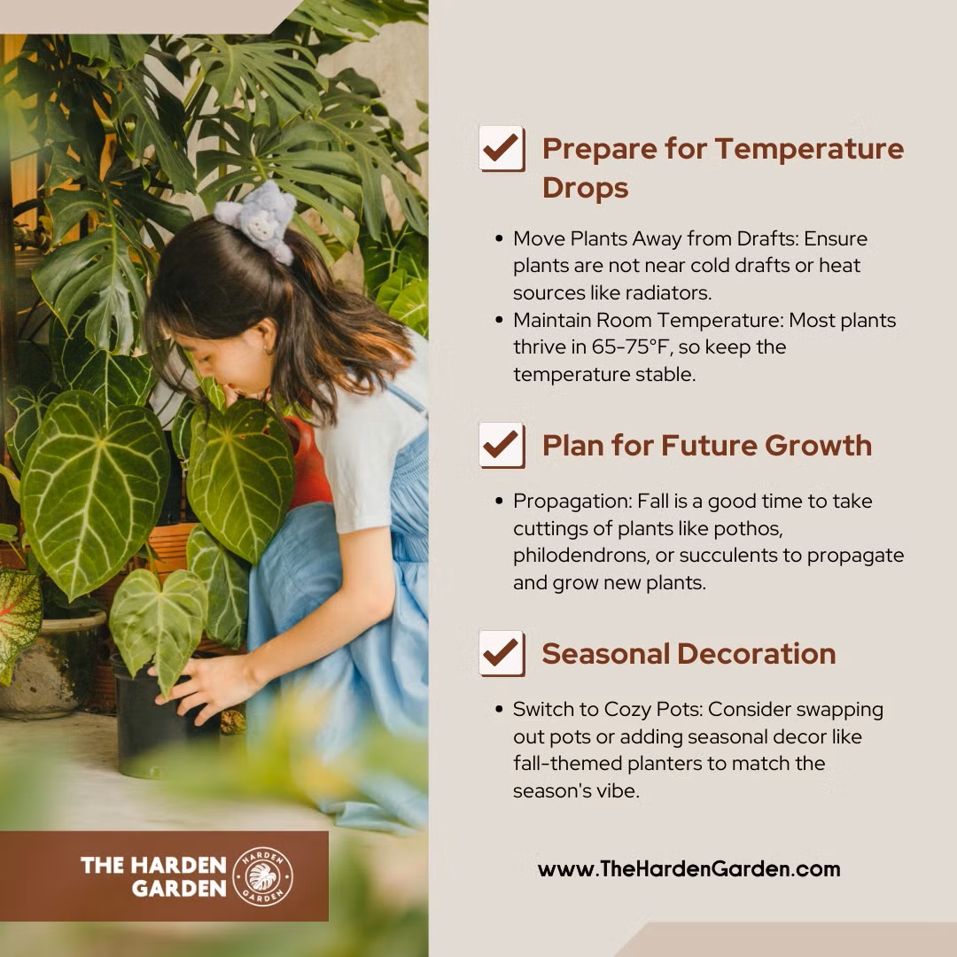 harden_garden's tweet image. 🍂 Weekend Plant Care Checklist (Fall Edition) 🪴
Make the most of fall with healthy plants! 🌱
#PlantCare #FallVibes #WeekendRoutine #PlantTips #Houseplants #GreenThumb