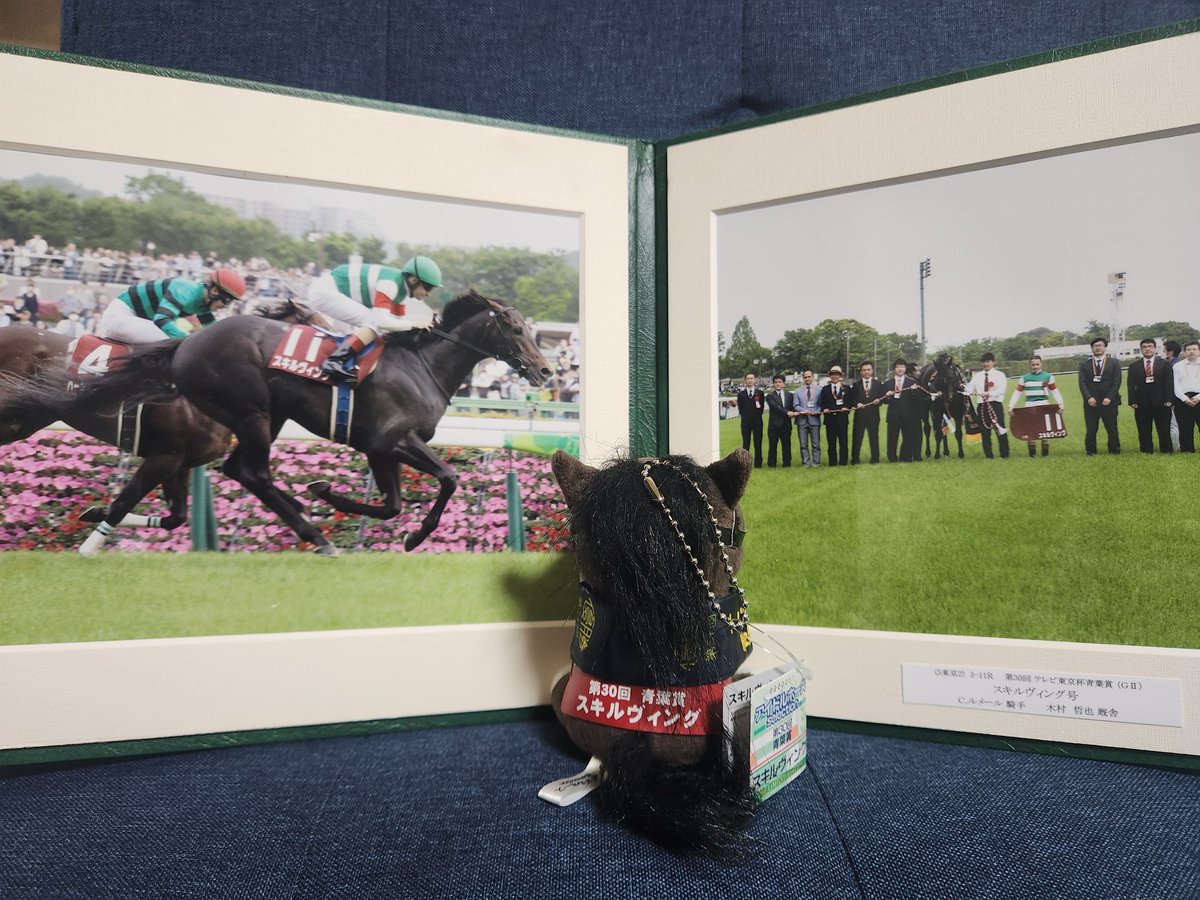 スキルヴィング