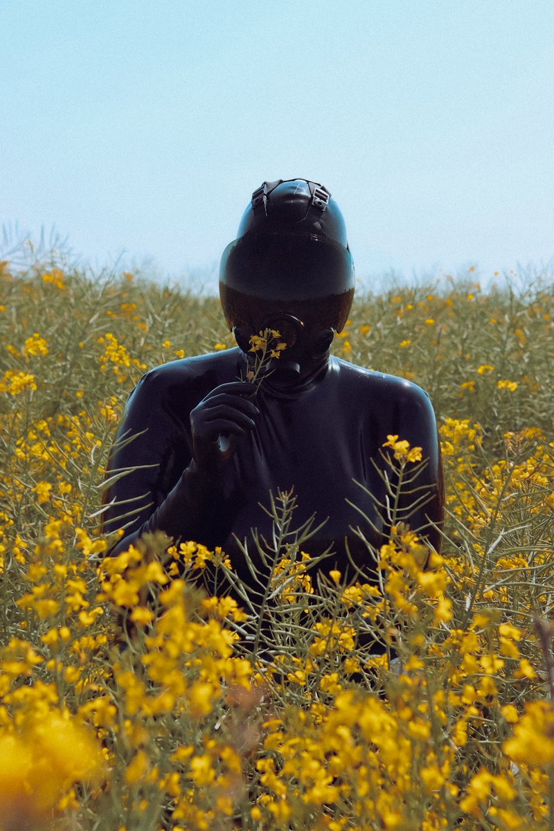 MissTea_Capture's tweet photo. Dissonance... 🖤💛

A morning tip toe through the local canola fields with my sweet, shiney girl @_veritas_86 https://t.co/nVP0CsHMUU