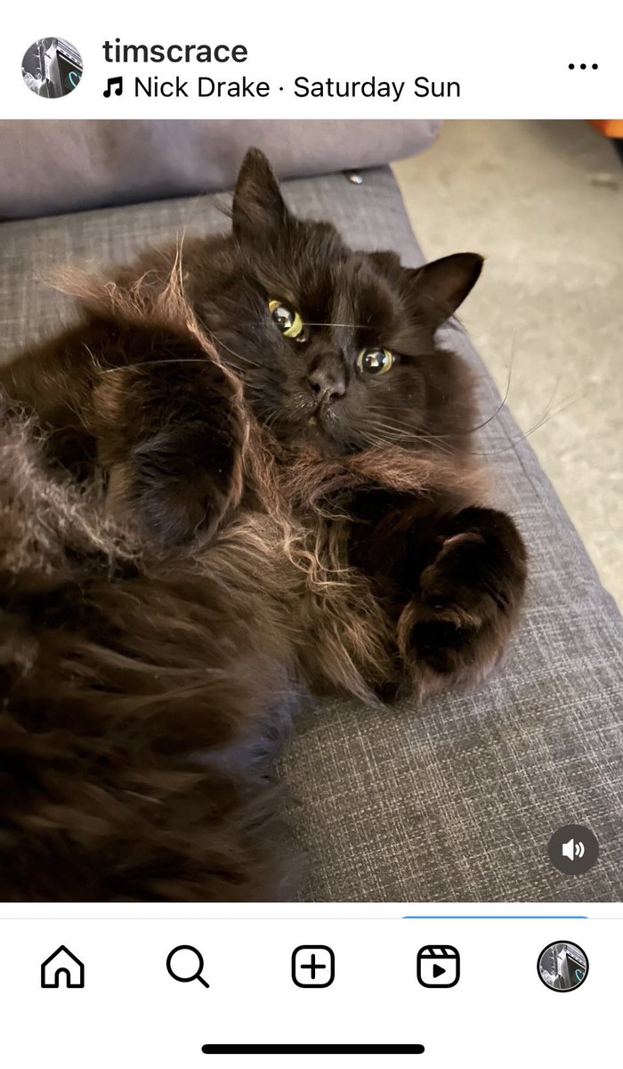 Tim Scrace tweet media