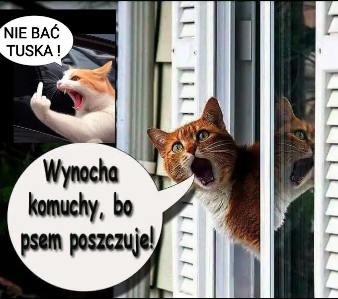 🇵🇱✌️Jupiter💯🇵🇱 tweet media