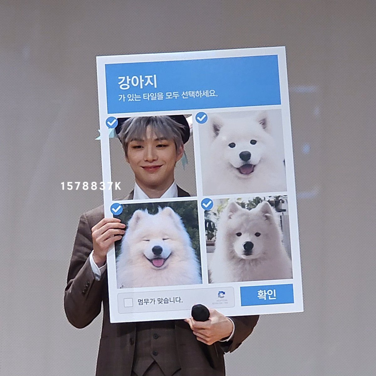 bbrtpeace's tweet photo. ถ้าเวลาโหวตแล้วติด captcha รูปนี้จะไม่บ่นเลย 555555 🤣🤣🤣 https://t.co/vktjAu5X95