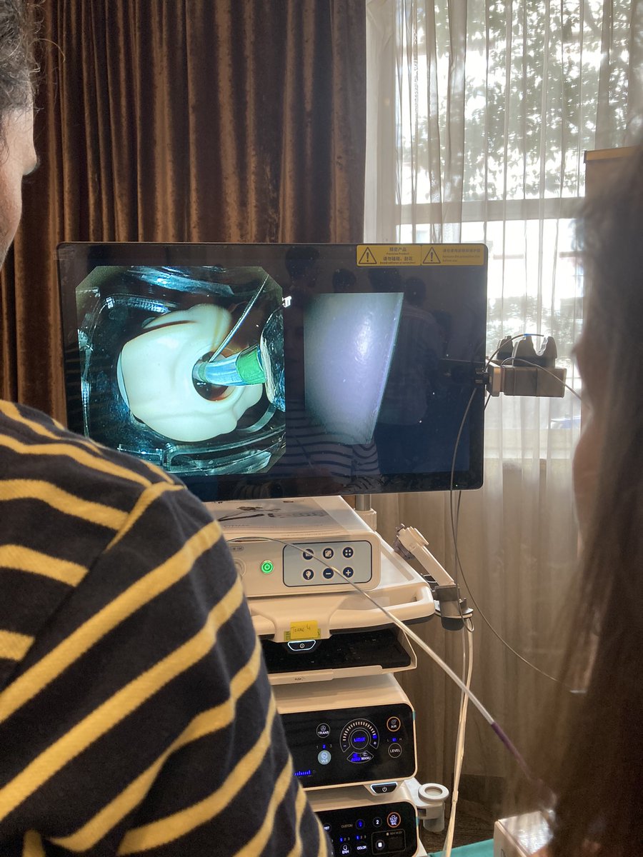 IreneBlancob's tweet image. Alucinando con el modelo decCPRE para aprender a canular 🤯 #NPC2024 #AESPANC @AESPANC