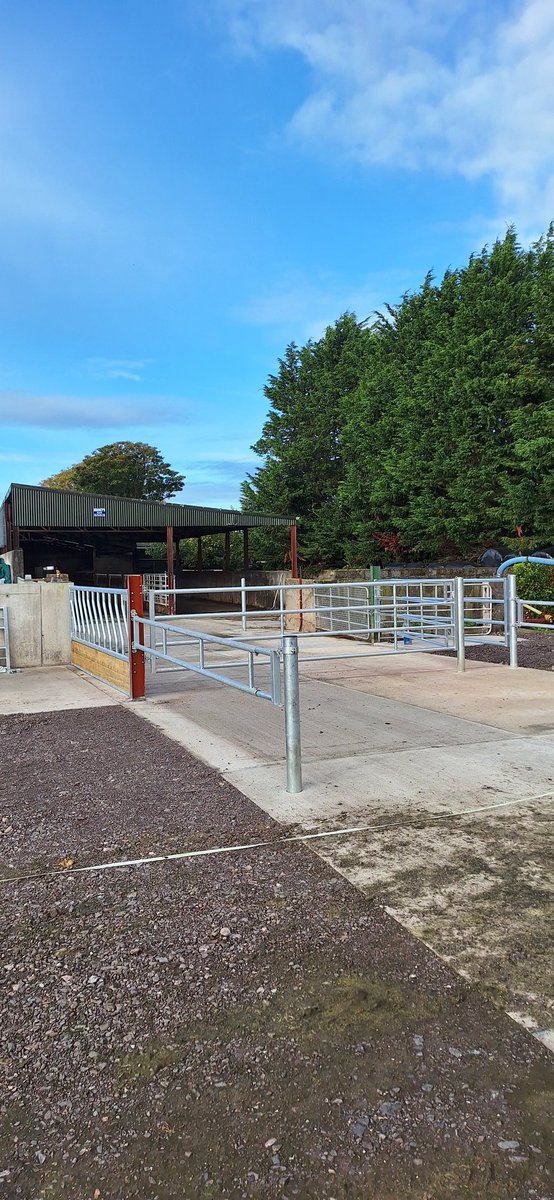 Yard extension/drafting area finished <a href="/MadeByCondons/">Condon Engineering</a> steelwork. All going well an #Alfco drafter going in on right..
Pity to get it dirty but start offering a bale of silage tomorrow 🐮
