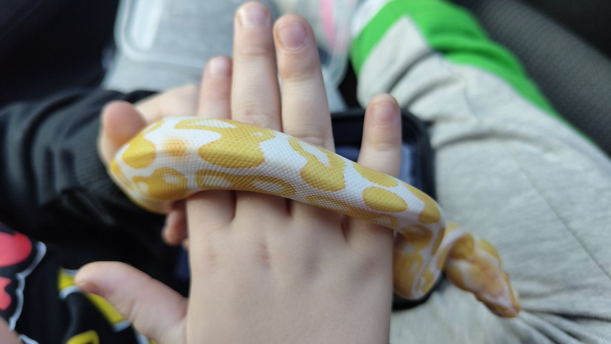 MathPig_'s tweet image. I did it again haha it&apos;s all Elena&apos;s fault.. but isn&apos;t she Stunning!