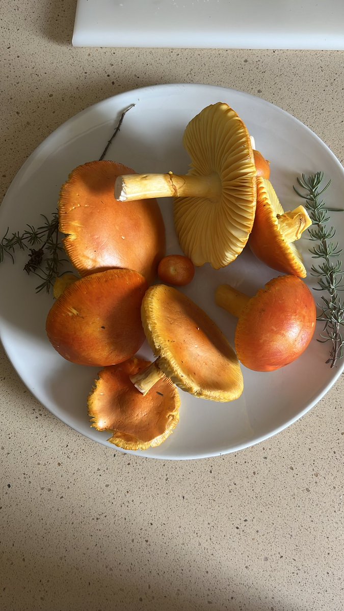 Carles Couso Macaya tweet media