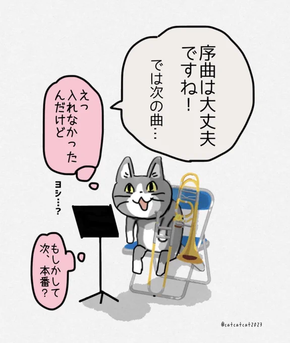 大丈夫じゃないリハ猫。 
