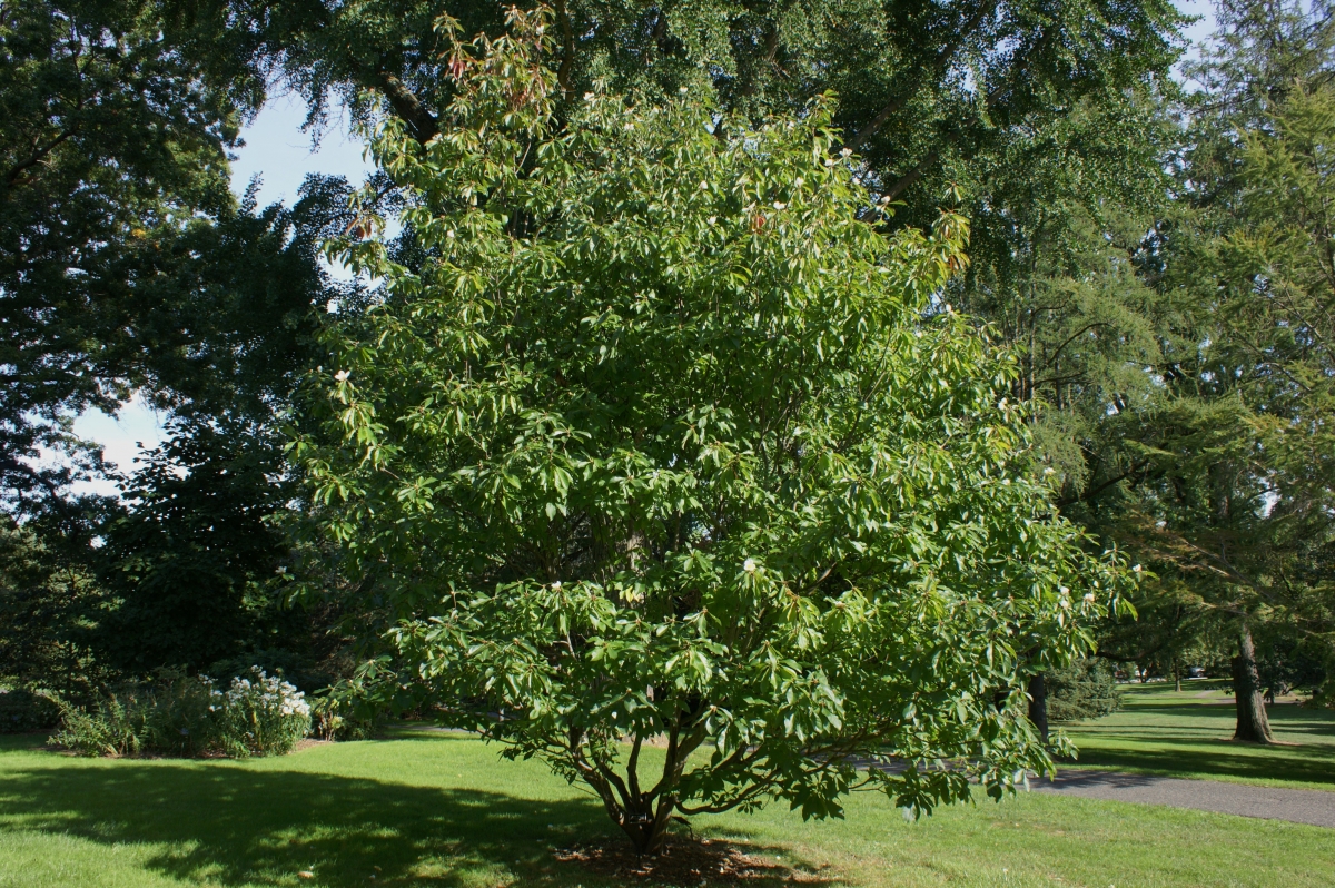 Garden Design Mag tweet media