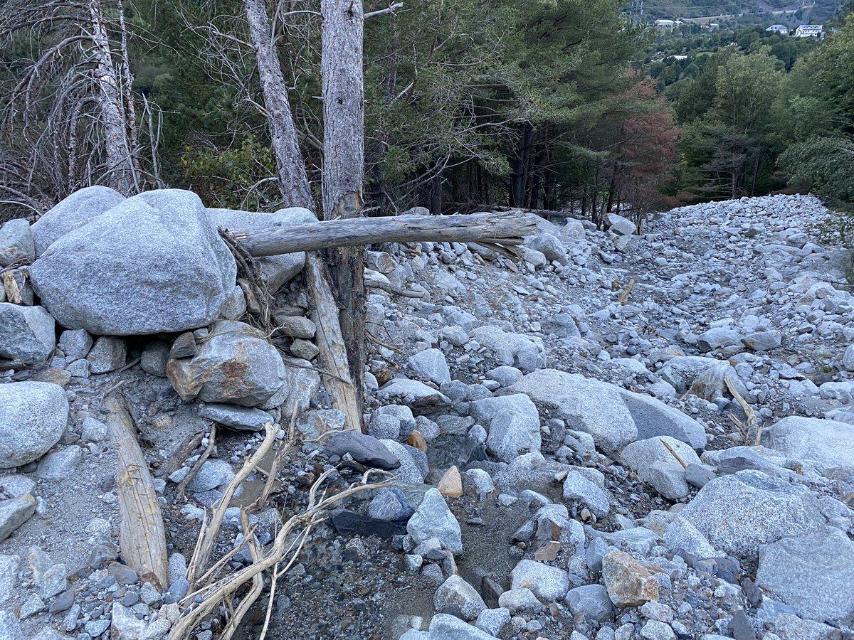 New #debrisflow making his way through the forest at our monitoring site #rebaixader #pyrenees ➡️how would you simulate effect of trees?? <a href="/EscolaCaminsUPC/">Escola de Camins</a>