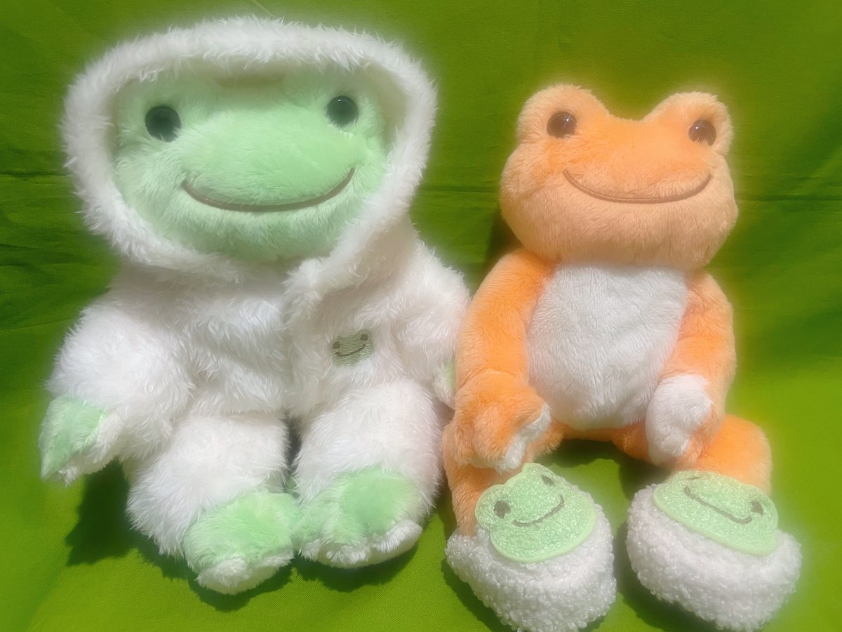 🐸2F #かえるのピクルス🐸 ✨新商品入荷のお知らせ✨ ・ビーンドール用