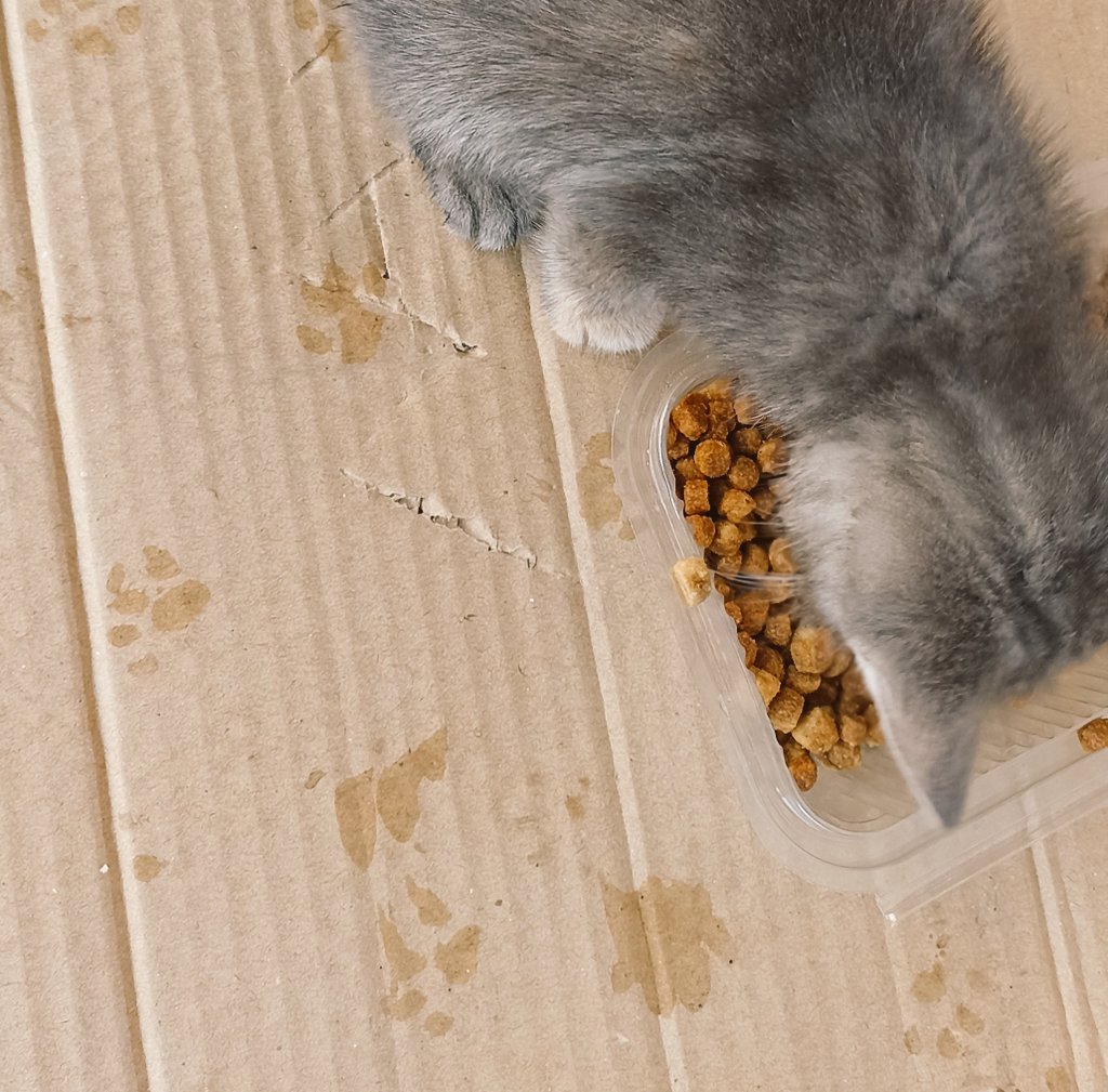 Mama karşılığında fotoğraflarını çekebildim..