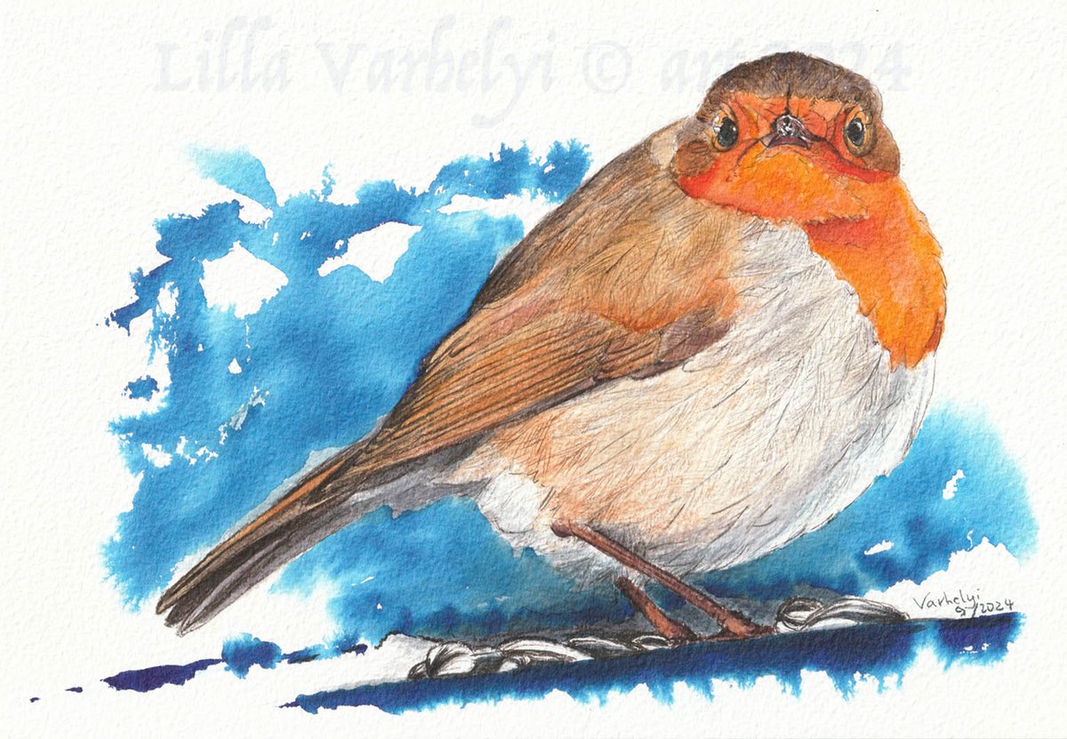 LillaVarhelyi's tweet photo. Neues #Tuschebild Robin #5 26x18🪶
Es ist zu verkaufen. Wie gefällt es?
New #inkpainting for sale #vogel #robin #rotkelchen #birddrawing #inkpaintings #artforsale #birdpainting #wildlifedrawing #wildlifeart #tusche #vogelliebe #birdlover #originalartwork #art #kleineKunstklasse https://t.co/FuKiw3YI4I