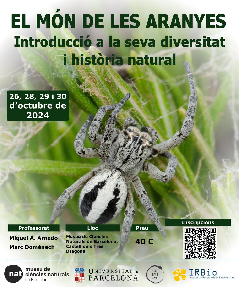 Marc Domènech tweet media