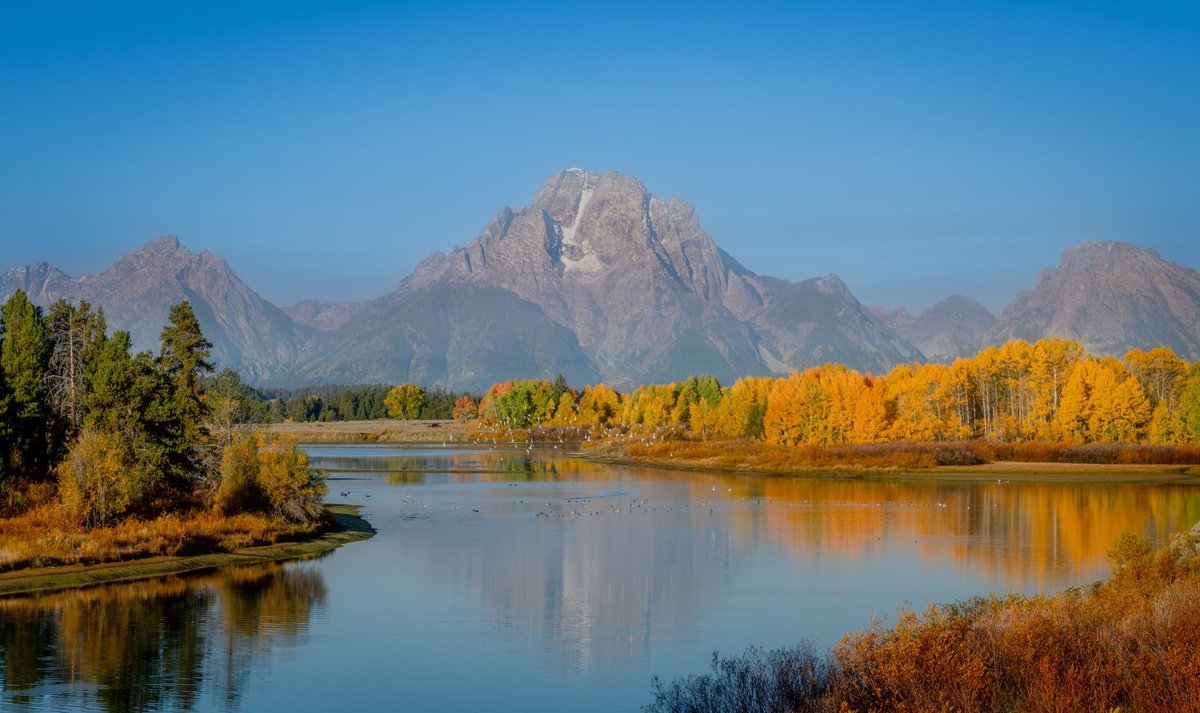 Luke Menkes (@lukemenkes) on Twitter photo 