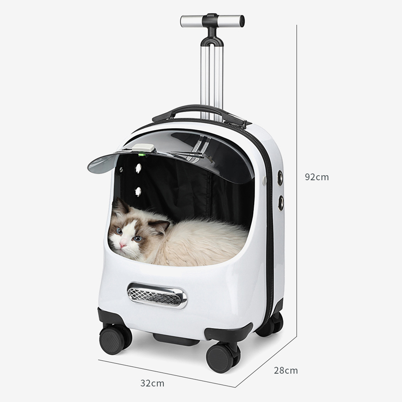 Tamurasell's tweet photo. Elevate your pet's adventures with the YKOSM Stroller! ๐ Durable, universal, and perfect for all breeds. Fresh solutions with a shelf life under 2 years. ๐พโจ
#YKOSM #DogStroller #PetComfort
Learn More: https://t.co/9zvwaj1oRD https://t.co/i8SgYkiCjb