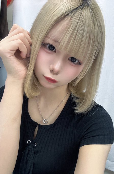 黒猫メイド魔法カフェ　MEGA ドン・キホーテ札幌狸小路店のツイート