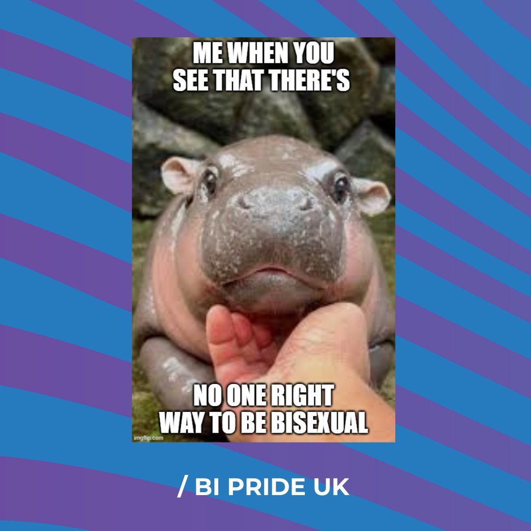 BiPrideUK's tweet photo. ✨💜 Moo Deng 💜✨ https://t.co/vFxU6nIpe7