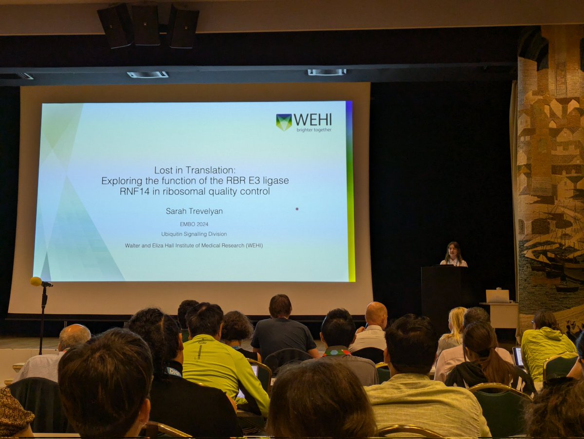 LechtenbergLab's tweet image. Sarah is rocking the stage at #EMBOubiquitin24 presenting her PhD work.