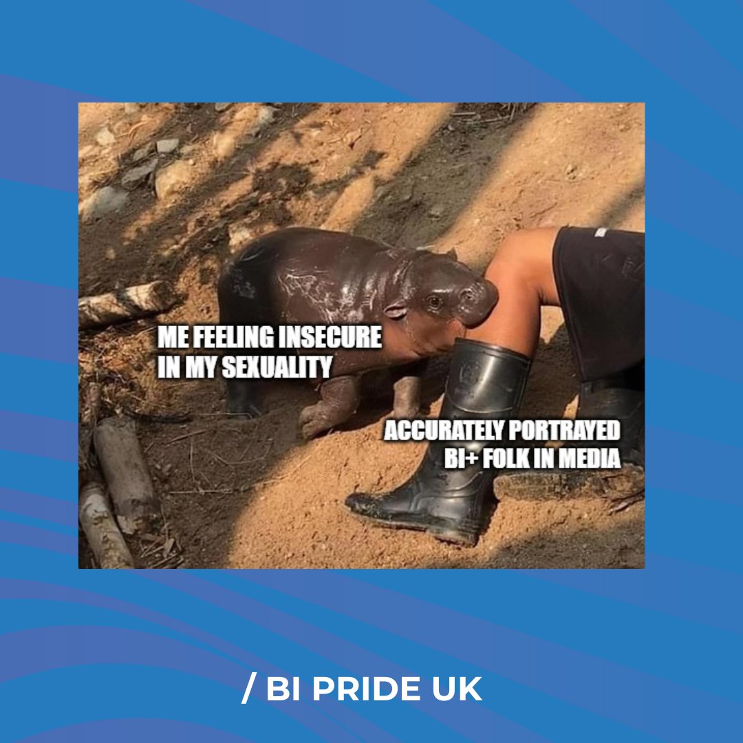 ✨💜 Moo Deng 💜✨