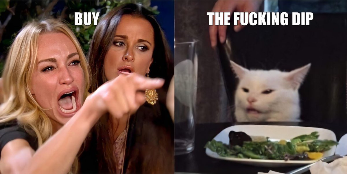 Smudge The Cat Token tweet media