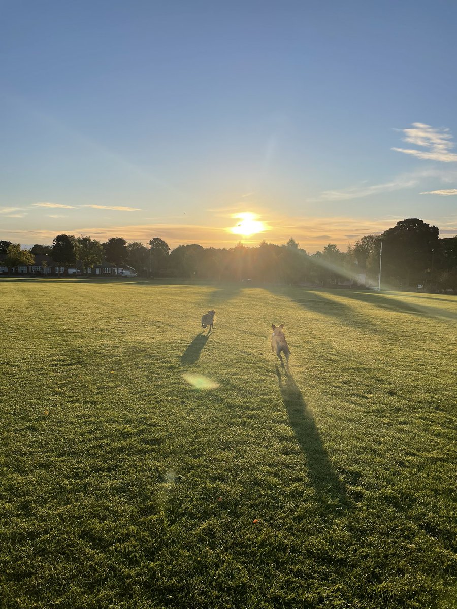 BeckyDewhurst's tweet photo. Lovely crisp walk this morning after an eventful few weeks! Feel very grateful to have been offered (&amp; accepted) a career development fellowship in molecular biology at Durham University last week…very excited to restart my journey in STEM after a year with the fire service https://t.co/AIzXYnamh1