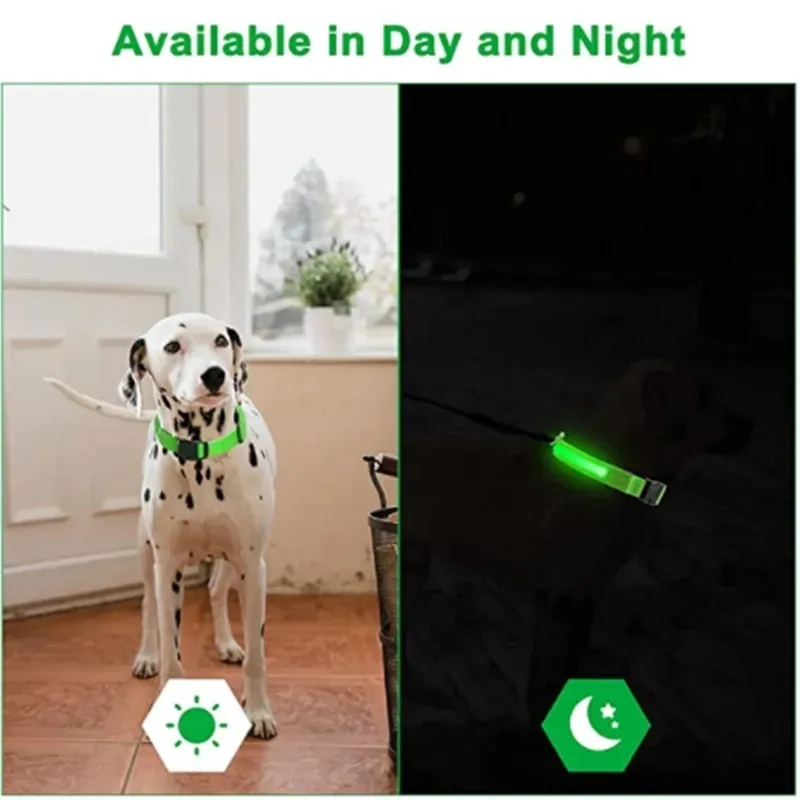 Tamurasell's tweet photo. Brighten your pup’s adventures with our LED Dog Collar! 🌟 Waterproof, durable, and perfect for Mardi Gras. Shop quality products at great wholesale prices today!
#LEDdogcollar #PetSafety #DogFashion
Learn More: https://t.co/rrILXch7mf https://t.co/D7jLiE3AAg