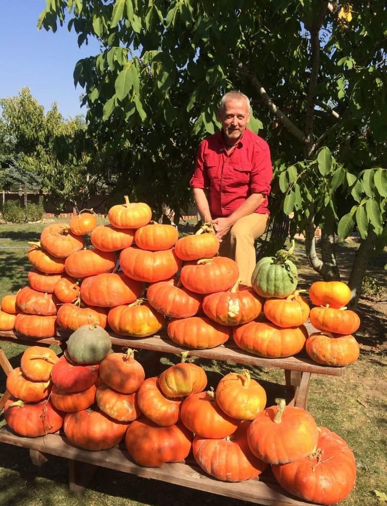 gugukkusu67's tweet photo. Zucchini harvest is complete @greencart_vet #VeBetterDAO #VeFam #HealthyLife #FruitVegetable #ConsumptionHabit #NutritionHabit #Sustainability https://t.co/OYI9q6iiDW