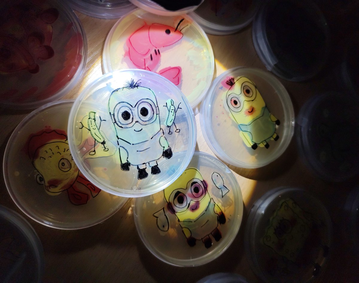 Project_INDEPTH's tweet image. Noc Naukowców na Wydziale Biologii #UG, Mikrobiologiczne 🧫🦠atrakcje dla najmłodszych