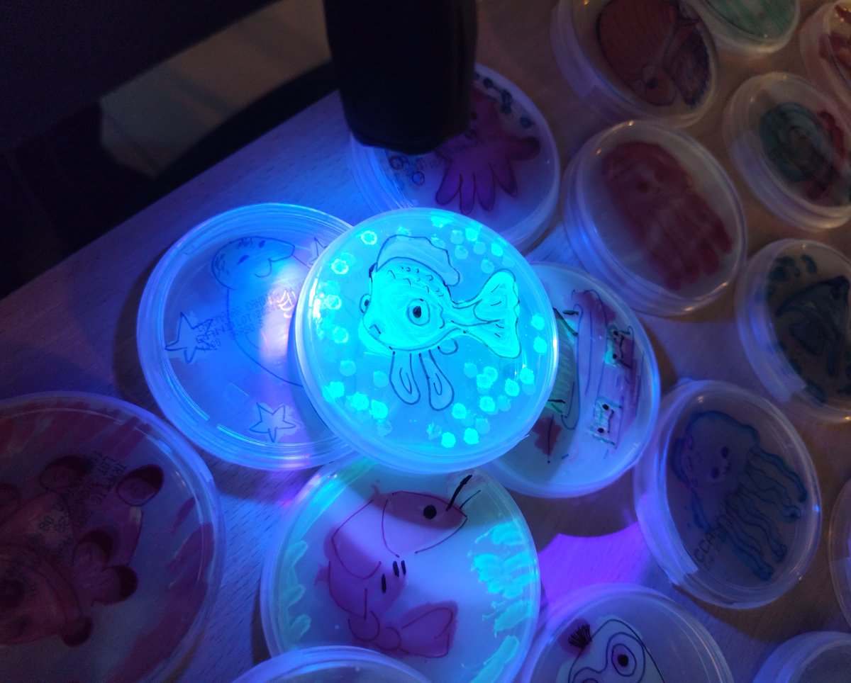 Project_INDEPTH's tweet image. Noc Naukowców na Wydziale Biologii #UG, Mikrobiologiczne 🧫🦠atrakcje dla najmłodszych