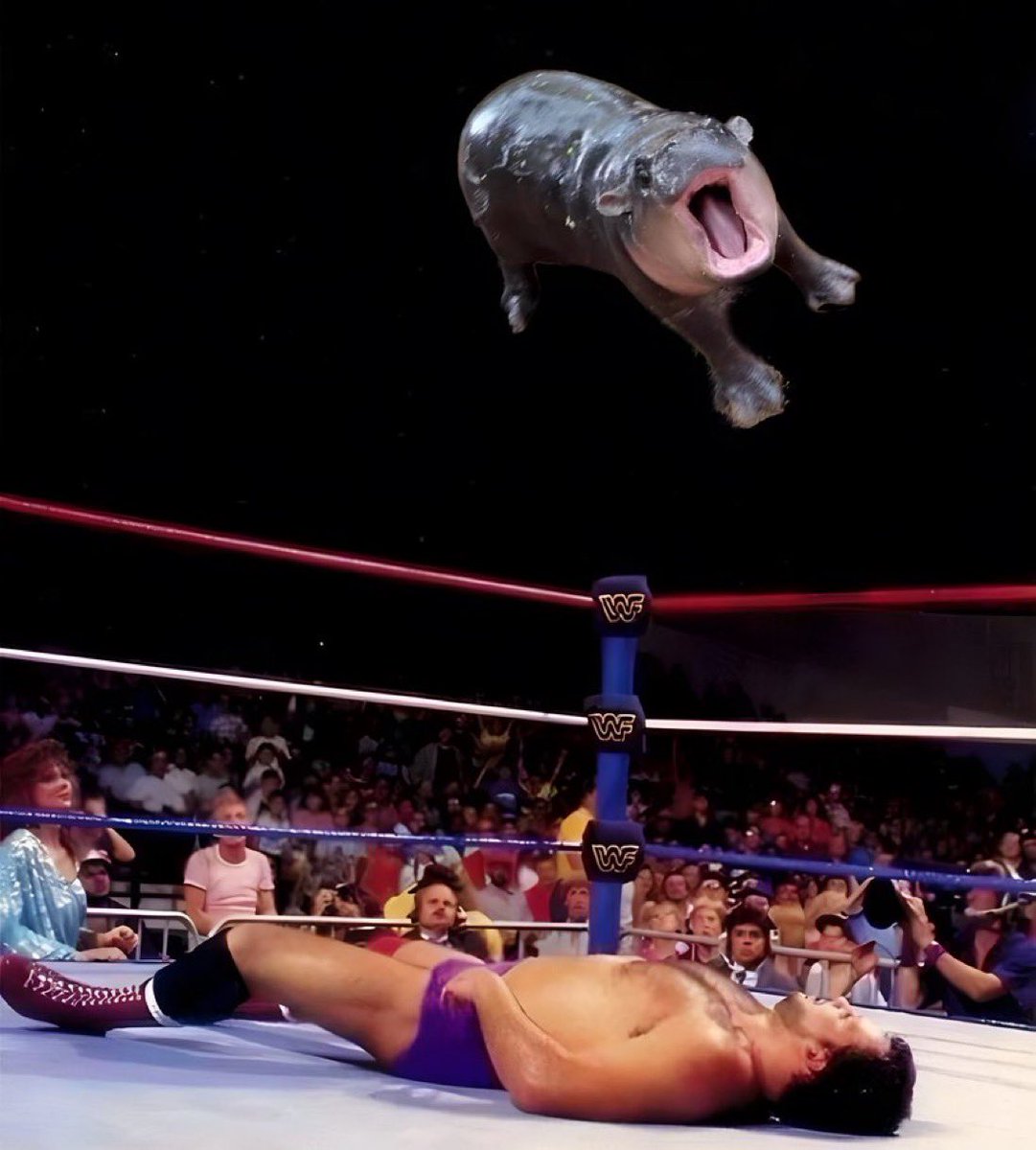 MOODENG ATH 320 MIL 

FROM THE ROPES