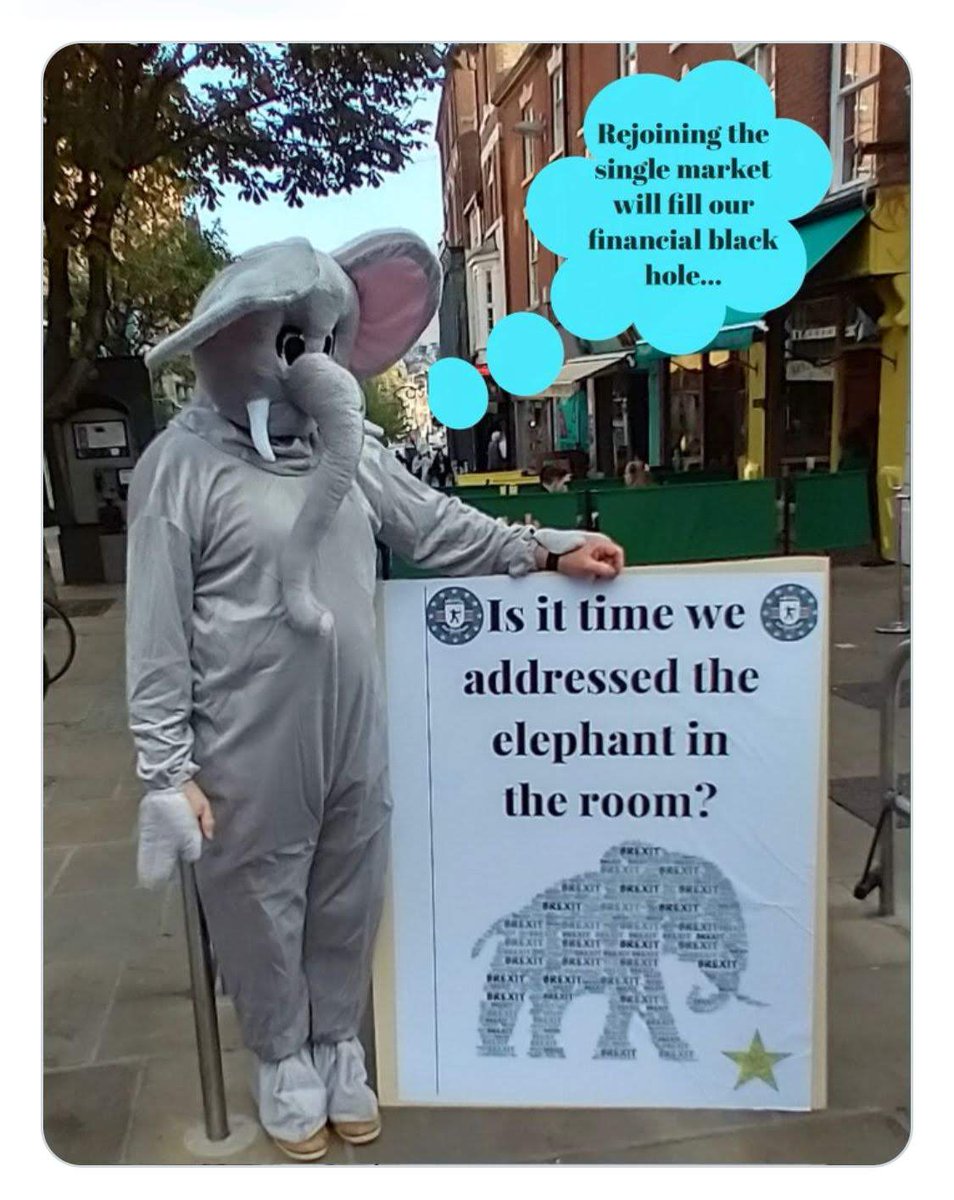 Notts4Europe's tweet image. The Nottsforeurope Brexit "elephants in the room" are on their way to the @MarchForRejoin in London to March on parliament.

Come join us

@euromove 
@Derby4Europe 
@LeedsEurope 
@GrassrootsEU