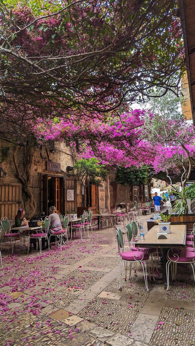 el 🇱🇧 tweet media