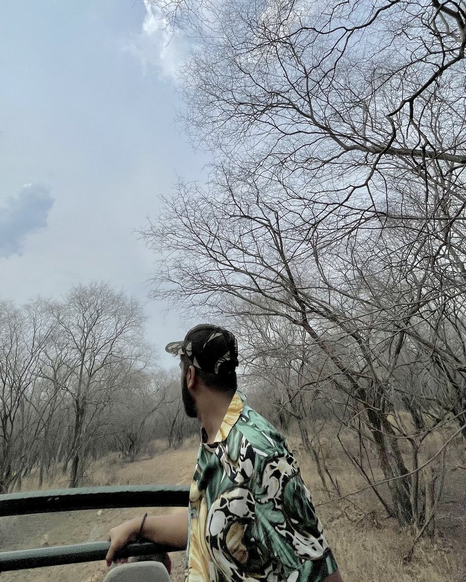 wolfgang598's tweet photo. In search for stripes 🐅 https://t.co/v7hadyiaIx
