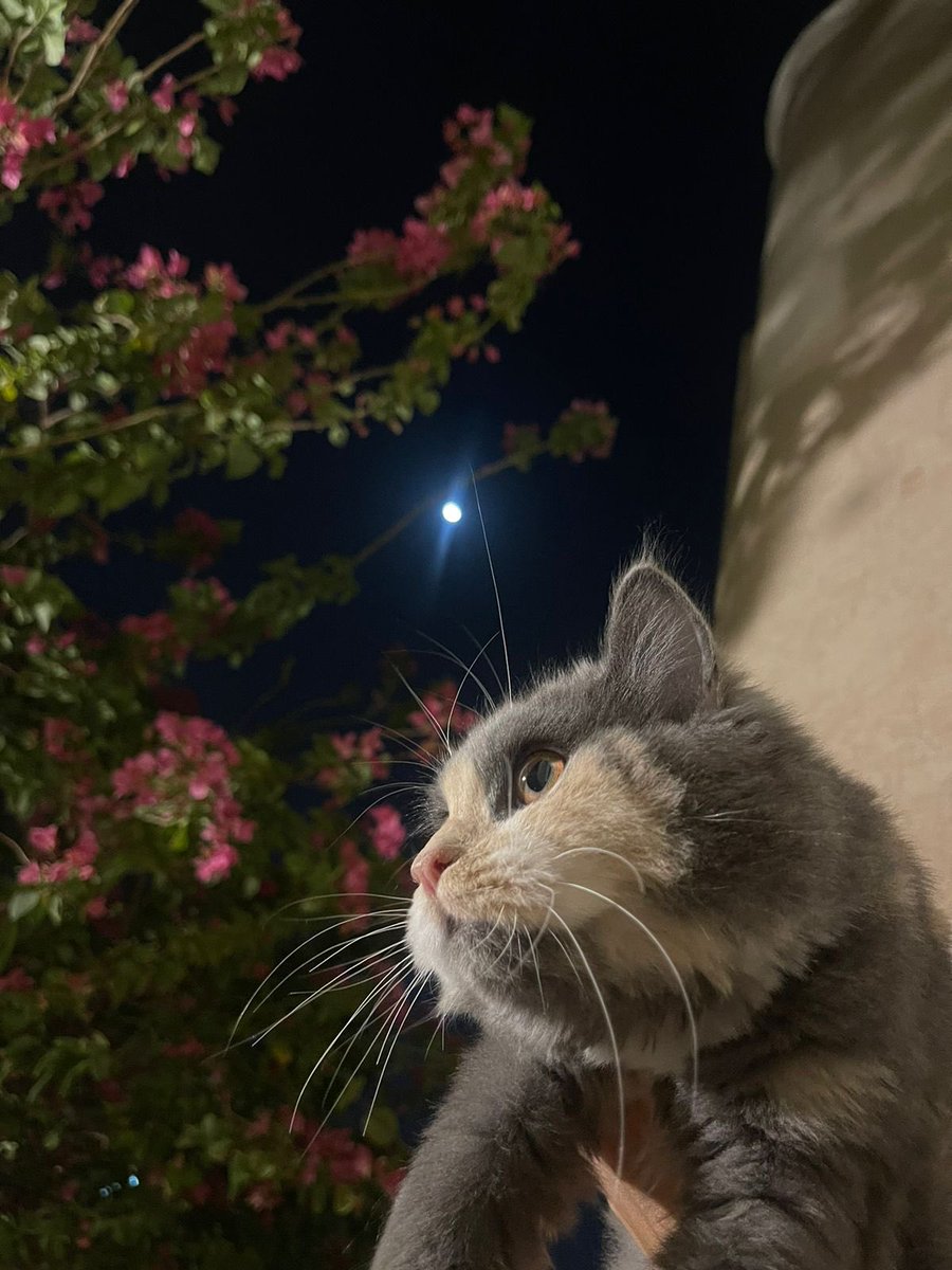 العنود ♐️ tweet media