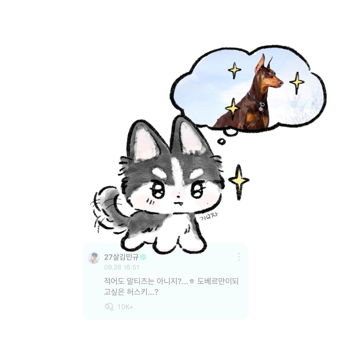 도베르만이 되고 싶은 허스키🐾