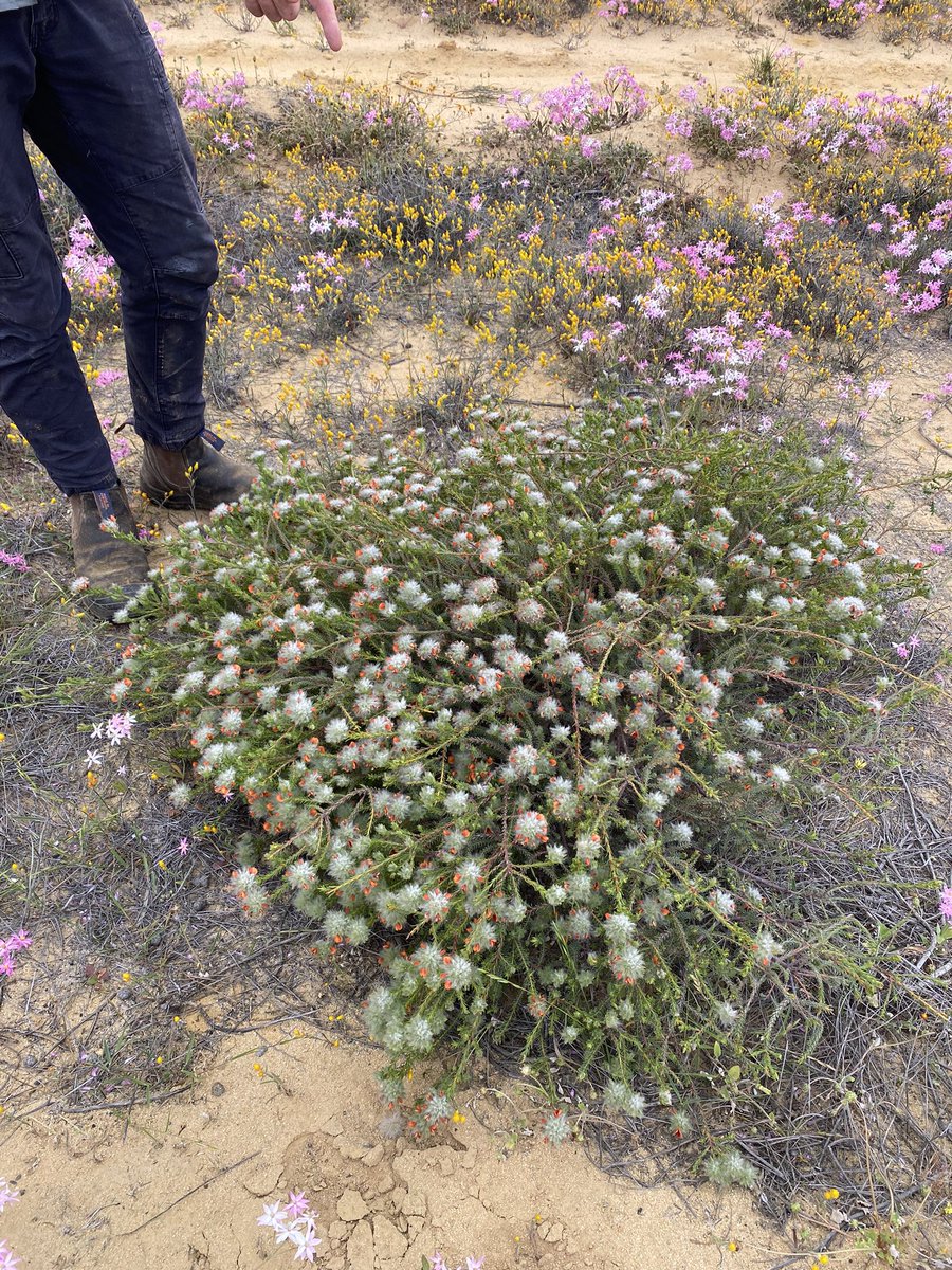 Richard George tweet media