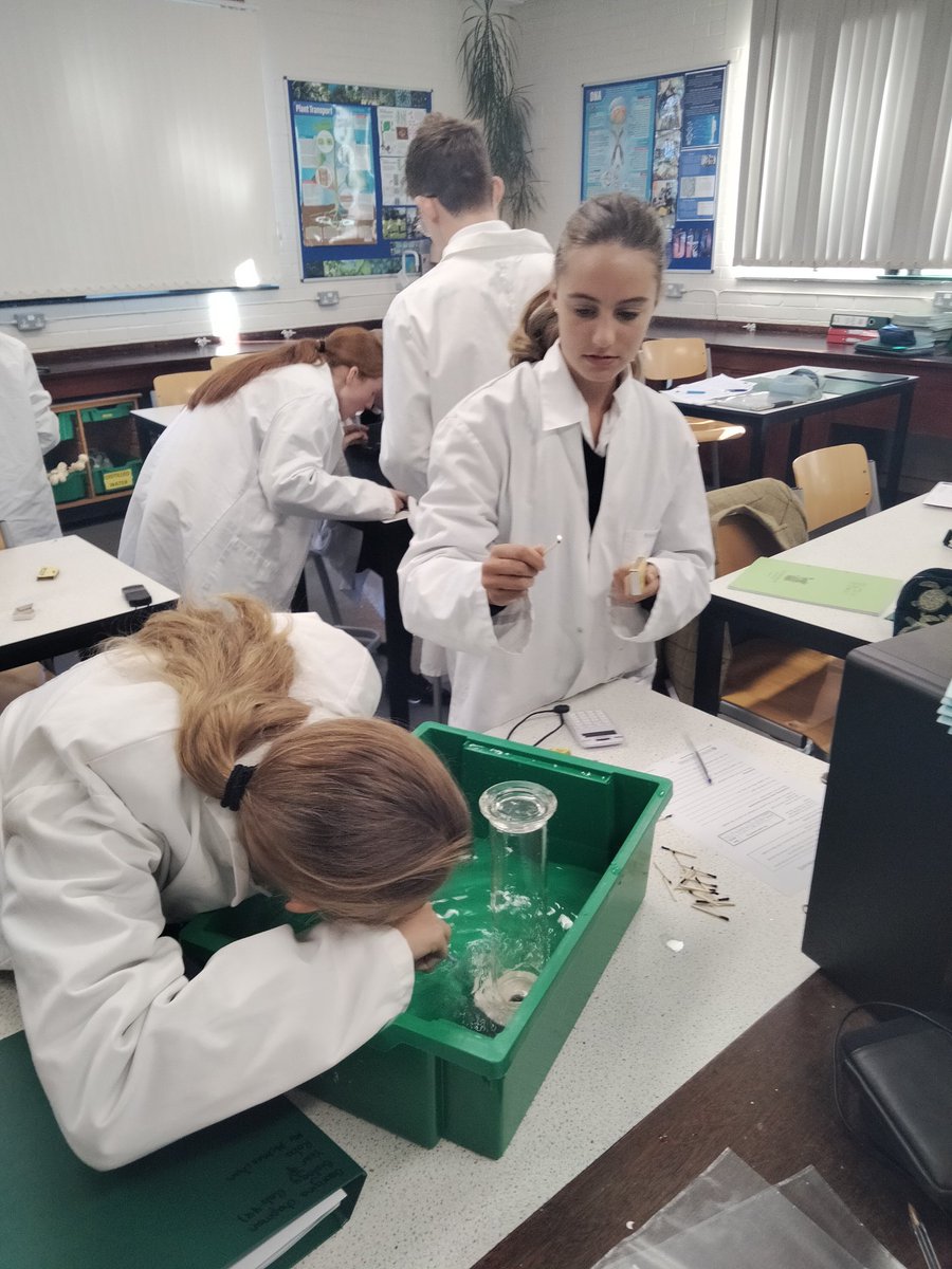 Investigation of gas exchange - practical learning &amp; data processing this morning for Yr9📈🫁👩‍🔬