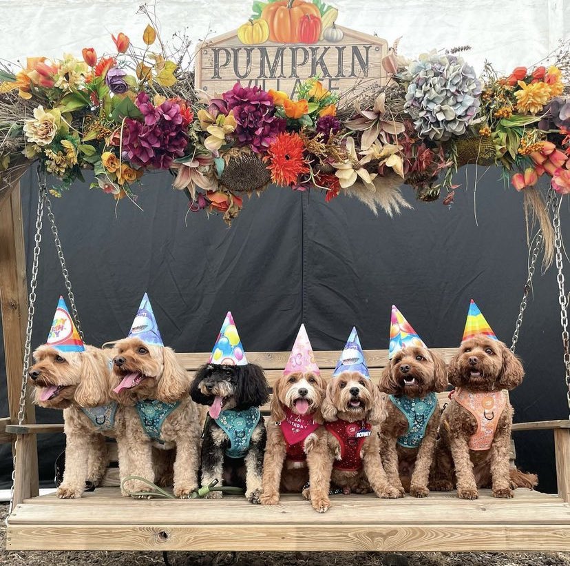 Aaron Othman tweet media