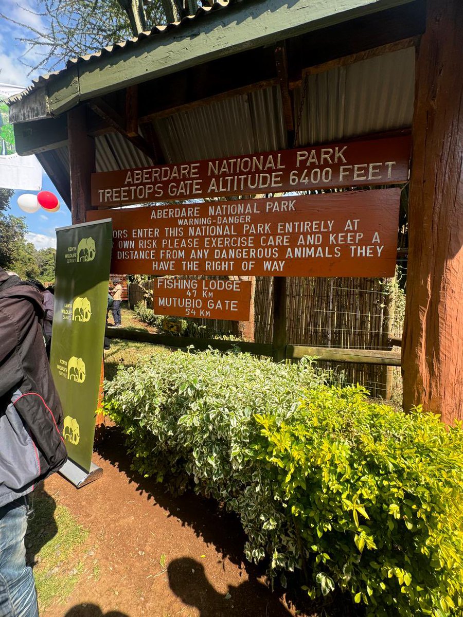 rebecca_miano's tweet photo. 📍Aberdare National Park.

Mapema ndio best!  Which national park and reserve have you visited with today’s free entry? What’s your most memorable experience? Share with us using #BestOfMyHome and #TembeaKenya. https://t.co/sL4UtMWCsr