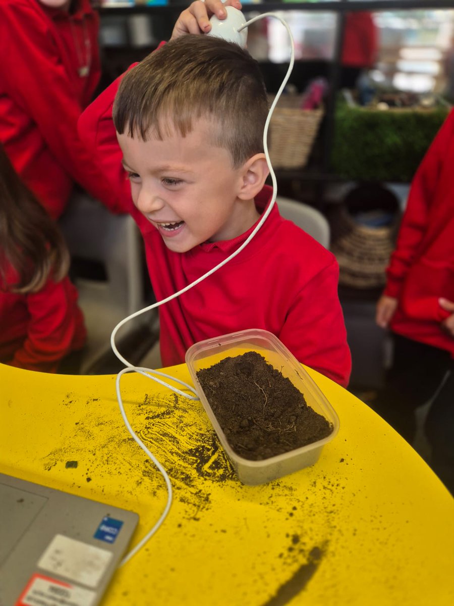 Hengoed Primary tweet media