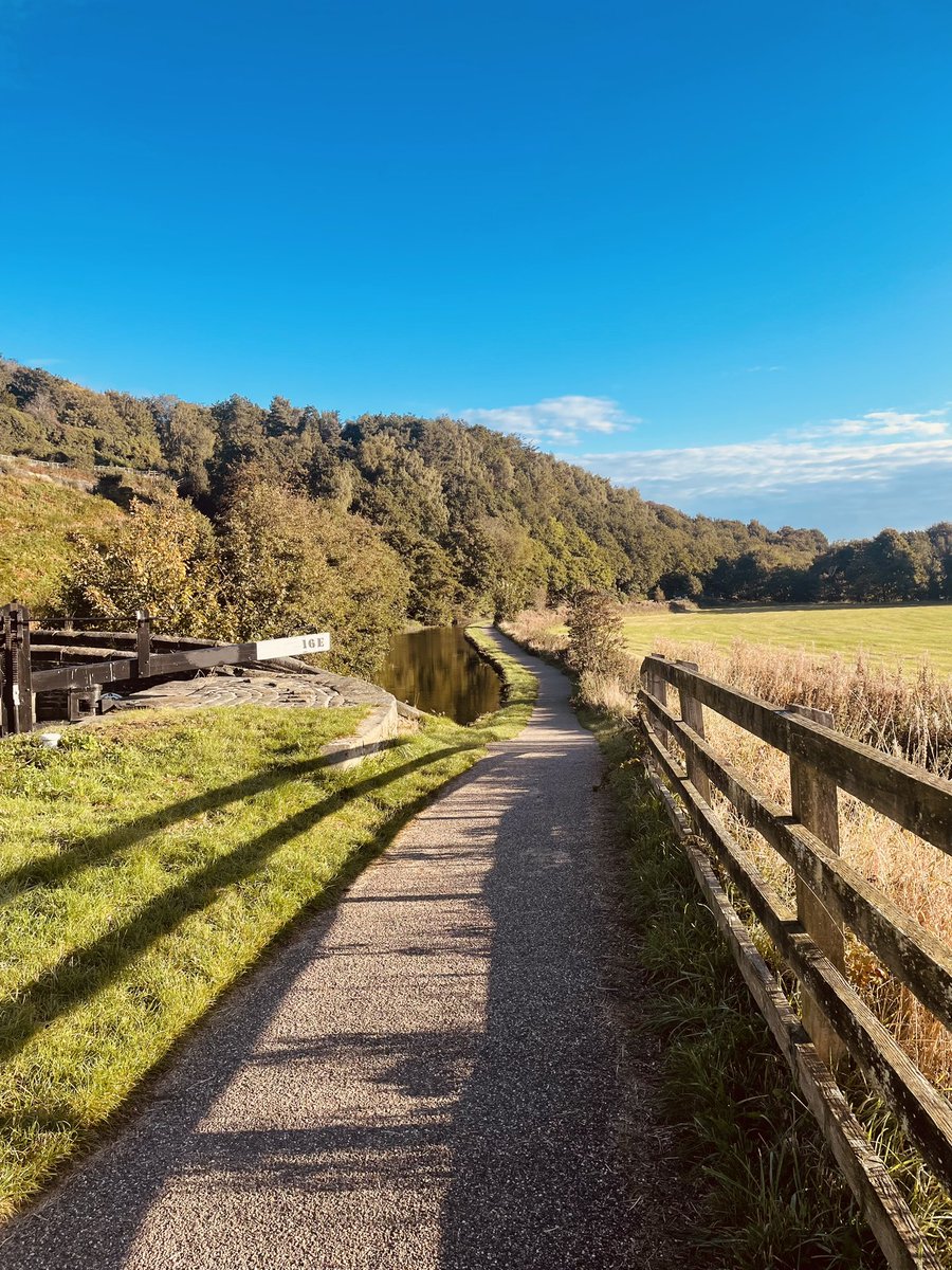 Heidi Curry tweet media