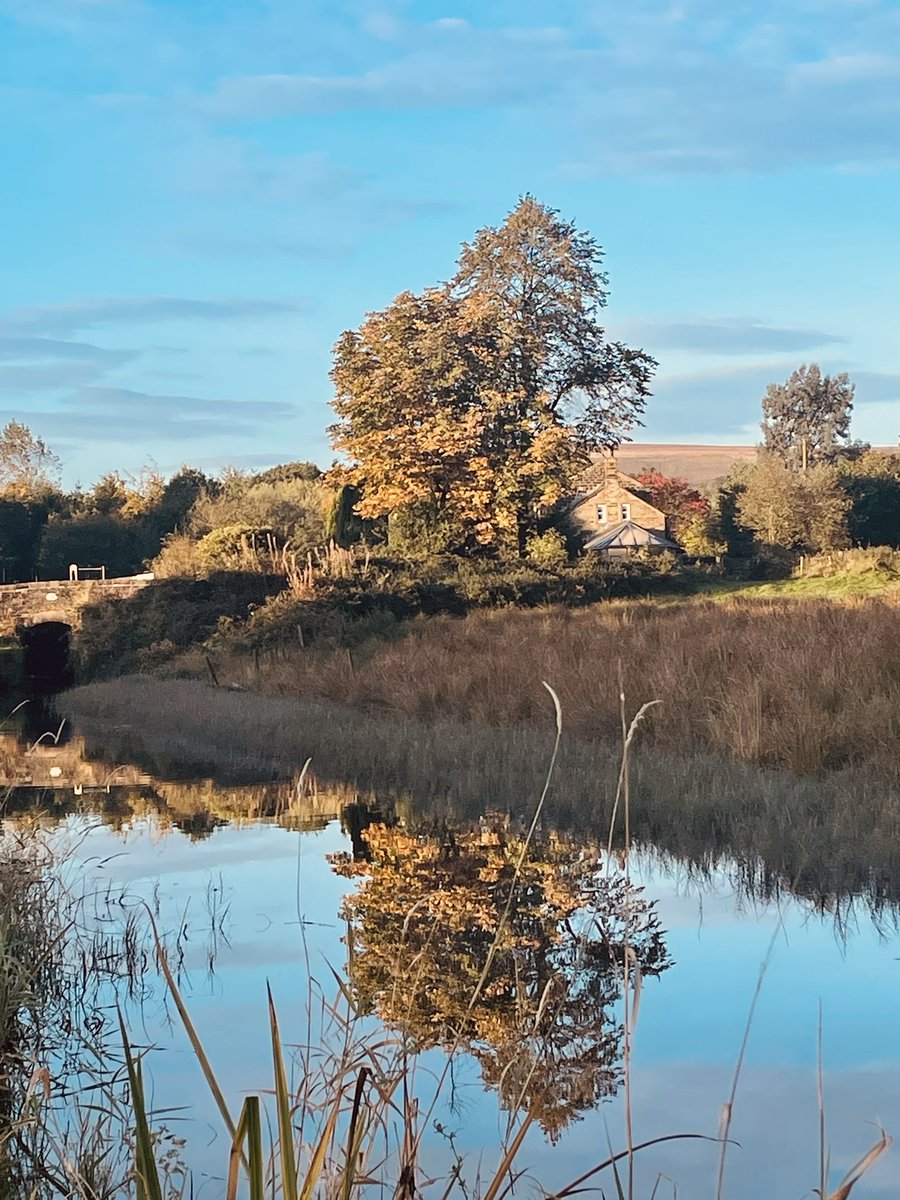 Heidi Curry tweet media