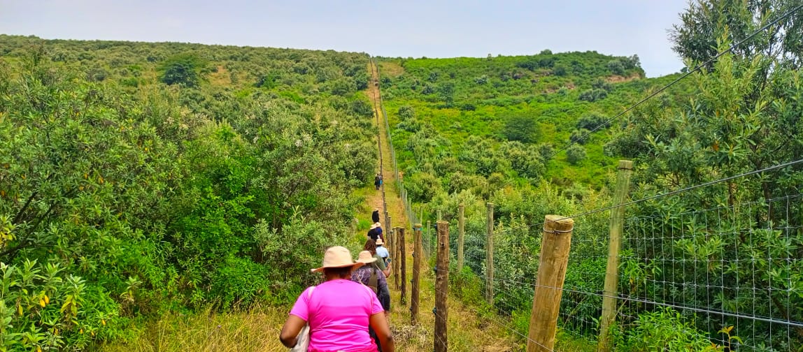 WRTIHippoCamp's tweet photo. Escape the hustle of everyday life and immerse yourself in nature at Naivasha Wildlife Sanctuary located along the Nairobi- Nakuru Highway. 

This weekend, treat yourself to an unforgettable adventure with our serene hiking and nature trails.
#WorldTourismWeek https://t.co/FeC994RxDD