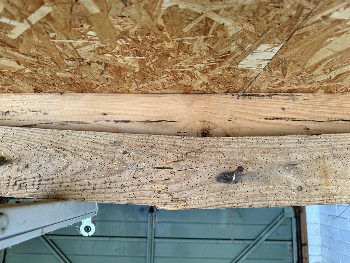 ohsurveying's tweet photo. Back in #Withernsea! Any thoughts on Tesco Chives in gutter?! Perished underfelt to roof eaves. Historical woodboring beetle infestation in garage necessitating replacement joist. Last photo probably a label rather than an instruction... #surveying #Tesco #underfelt #stopcock https://t.co/IUYqbkbT35